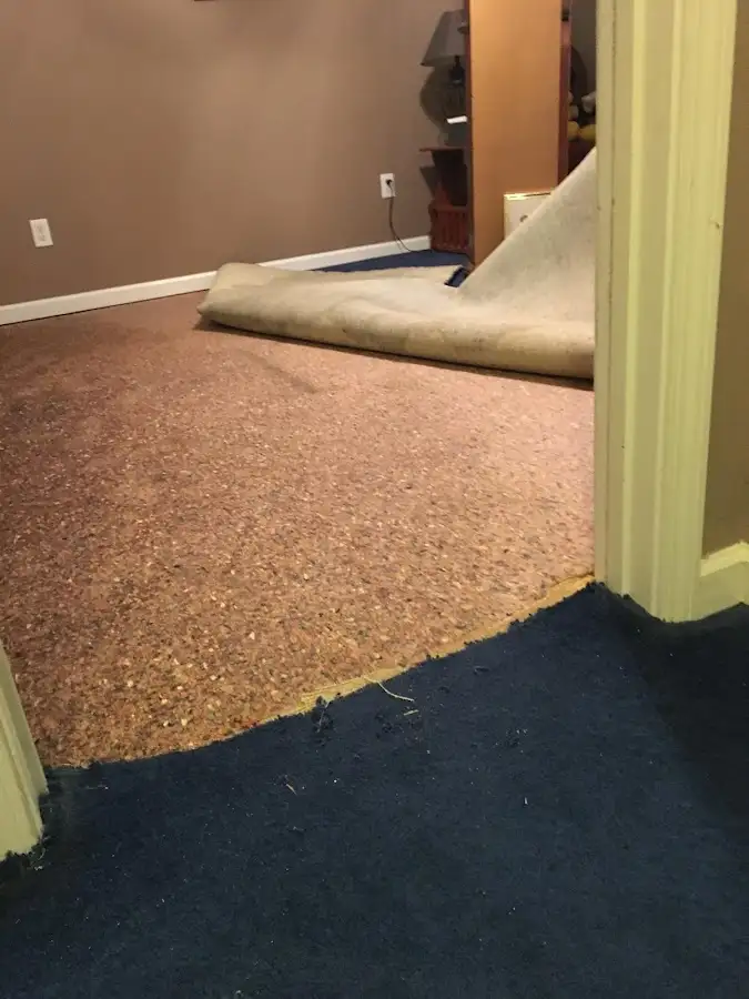 Carpet pad removal revealing water damage during Water Mitigation Services in Foxborough